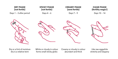 Vaginal Discharge Types and Stages - The Complete Guide